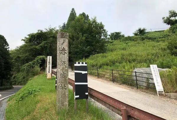 下赤坂城跡の写真・動画_image_557881