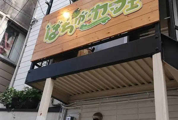 はちゅカフェ（爬虫類カフェ）