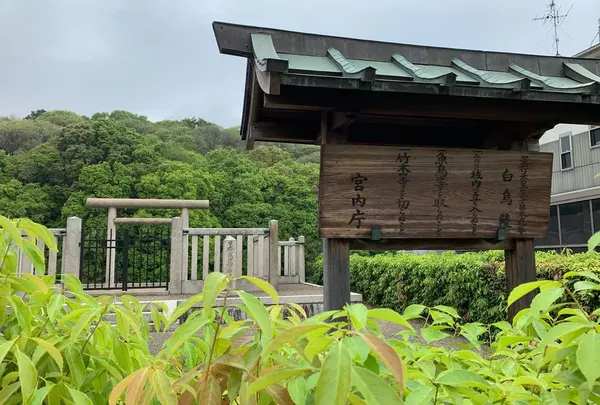 白鳥陵古墳（日本武尊白鳥陵）の写真・動画_image_558029