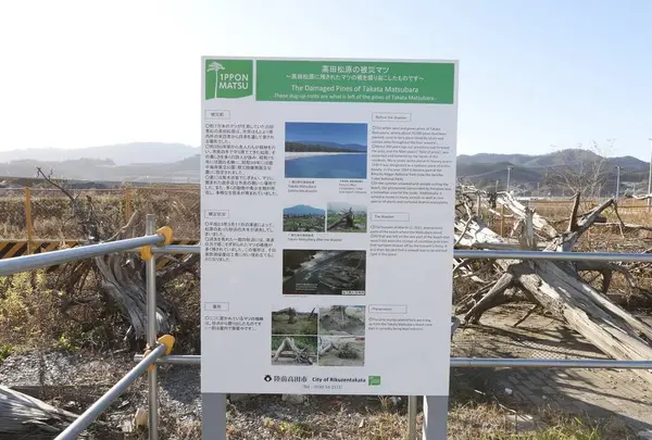 道の駅 高田松原