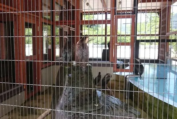 吉香 鵜の里（鵜飼育施設）