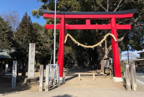 生品神社 (太田市野井)の写真・動画_image_560202