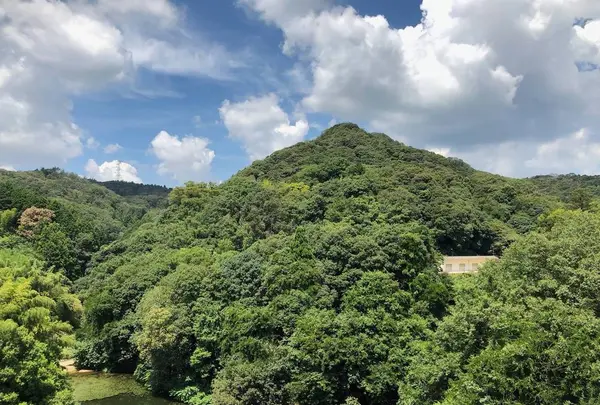 信貴山の写真・動画_image_560244
