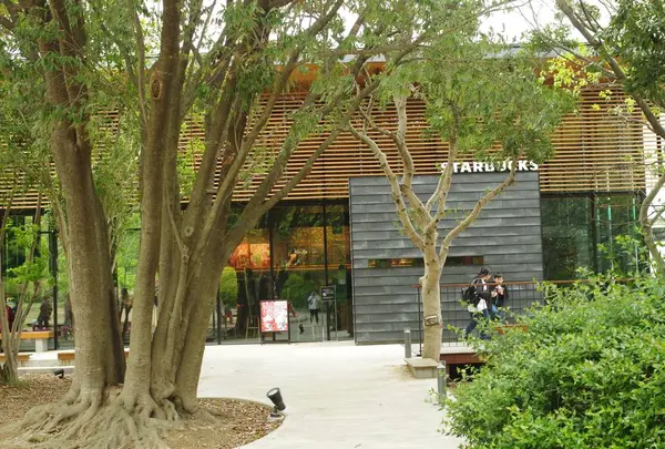 スターバックスコーヒー 浜松城公園店の写真・動画_image_561442
