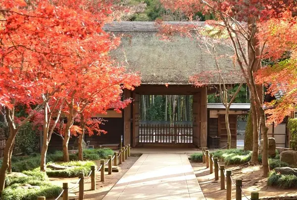 平林寺