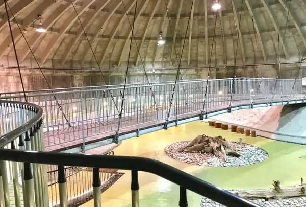 魚津埋没林博物館