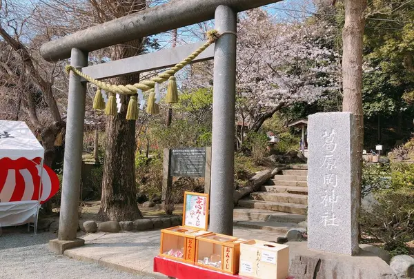 葛原岡神社の写真・動画_image_562757