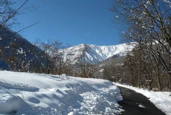 白馬村