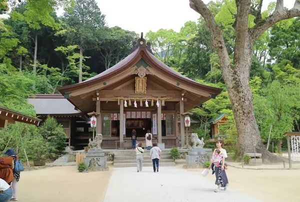 竈門神社の写真・動画_image_568153