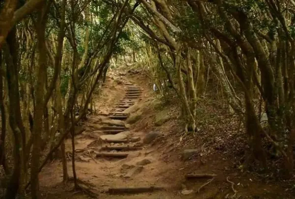 芥屋の大門公園の写真・動画_image_568975