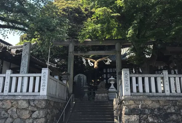 大甕神社（大甕倭文神社）の写真・動画_image_569494