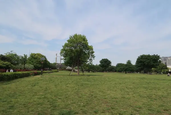 木場公園の南側