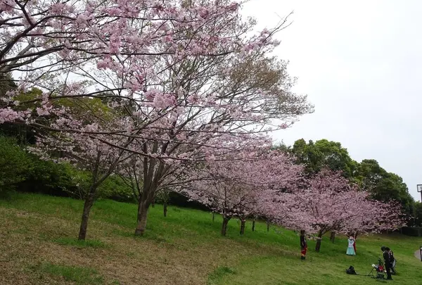 青葉の森キッズフェスティバル
