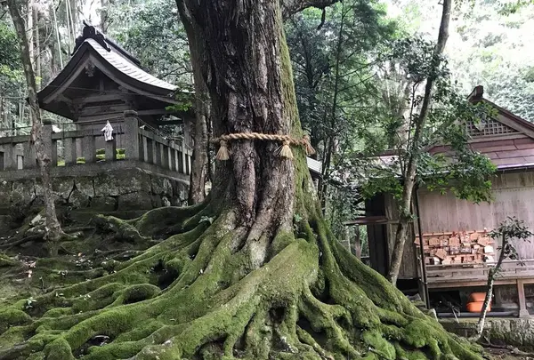 赤猪岩神社