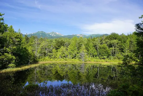 牛留池