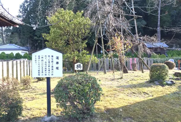 橘寺