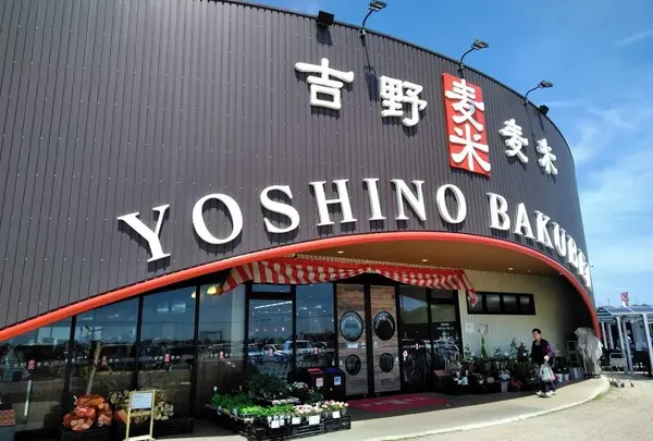 吉野麦米