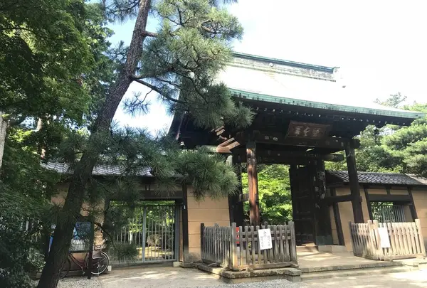 豪徳寺