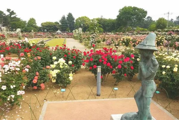 敷島公園ばら園