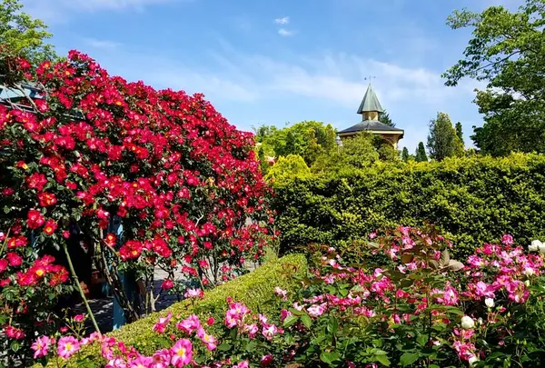 高岡おとぎの森公園