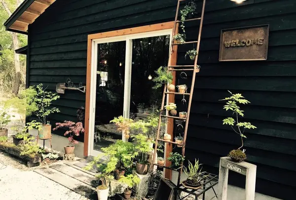 小さな緑のインテリア 苔屋