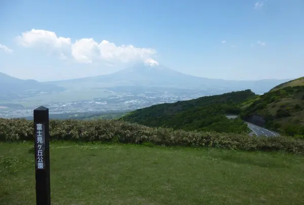 富士見ヶ丘公園