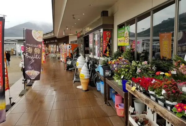 道の駅 八幡浜みなっと