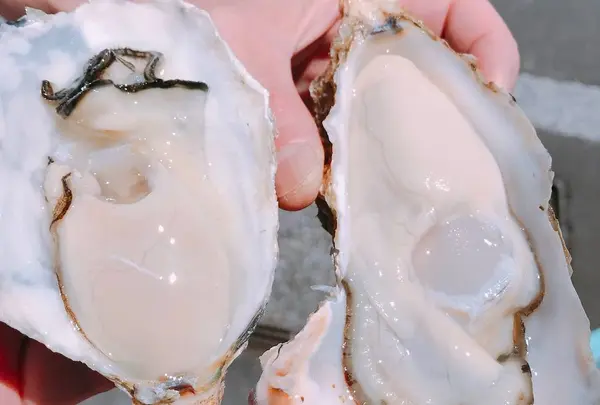 森田水産の写真・動画_image_579485