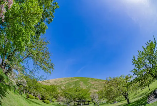 大室山の写真・動画_image_583287