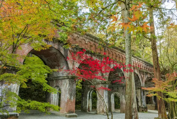 南禅寺の写真・動画_image_584608