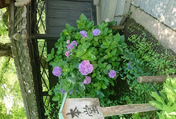 東慶寺