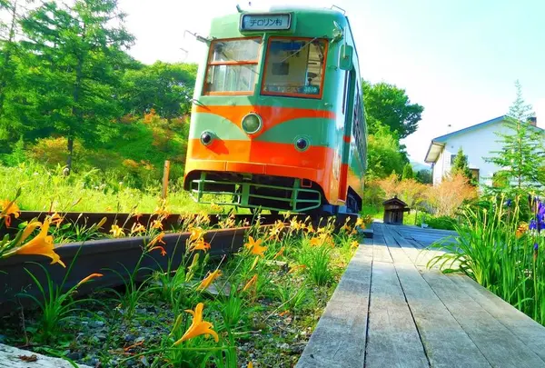 日光霧降高原チロリン村