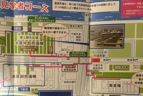 豊洲市場の写真・動画_image_598113