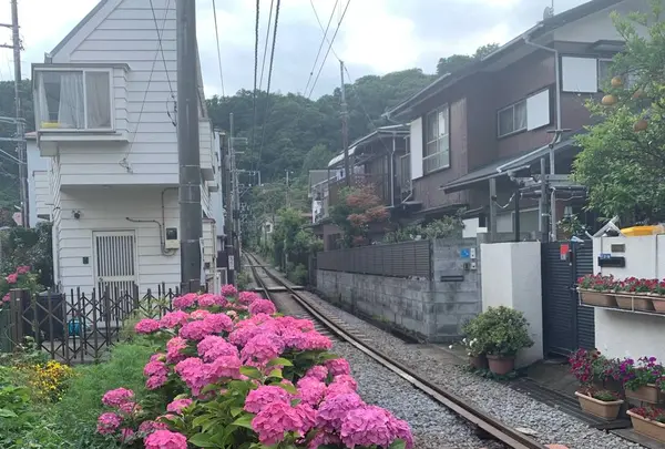 長谷駅の写真・動画_image_598510