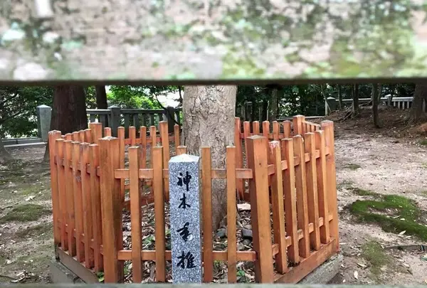香椎宮の写真・動画_image_600035