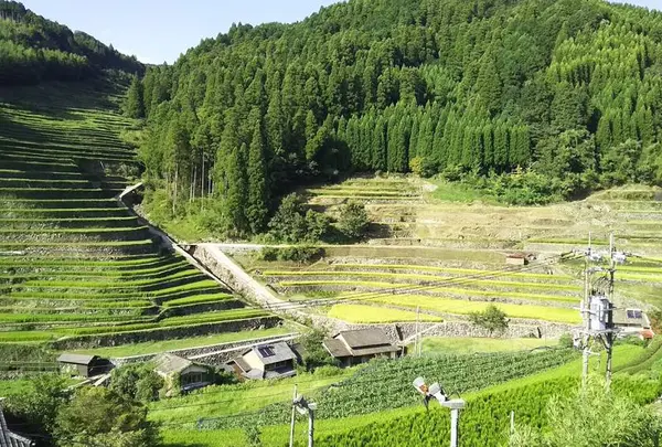 石積の棚田