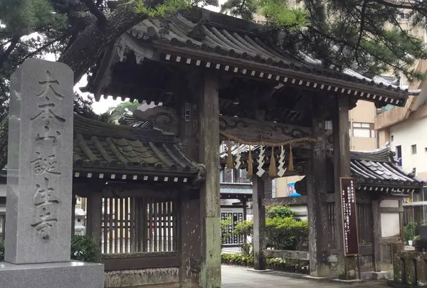 誕生寺