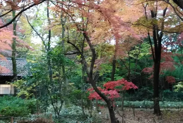 睡足軒