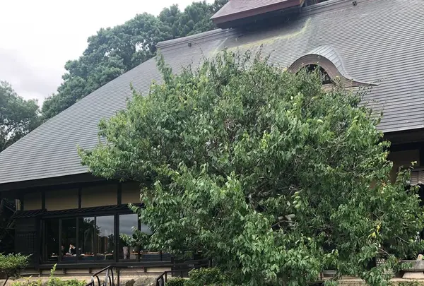 みずほの村市場 蕎舎