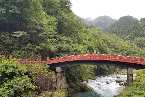 神橋の写真・動画_image_608229