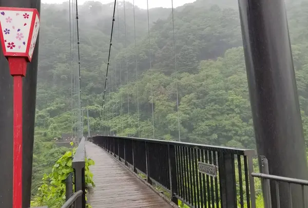 鬼怒楯岩大吊橋の写真・動画_image_608245