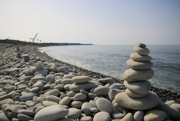 鳴り石の浜