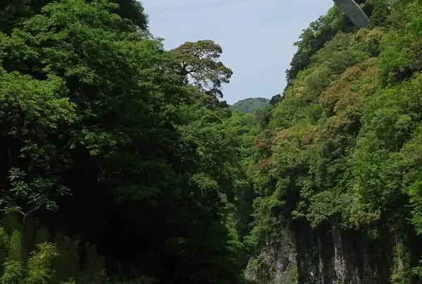 あららぎ駐車場