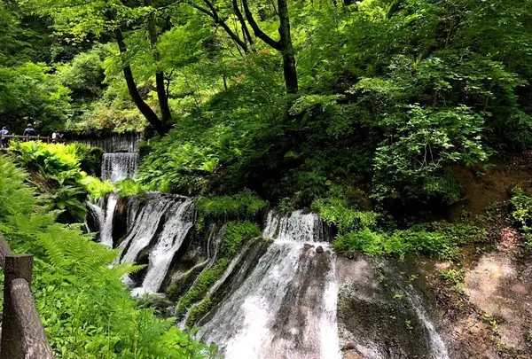 白糸の滝