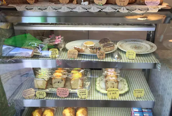 番外編:アンゼリカ