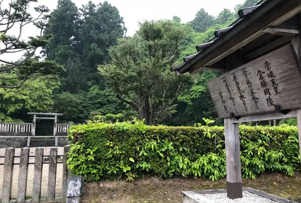 崇峻天皇陵(倉梯岡陵)