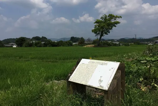 古宮遺跡(伝推古天皇小墾田宮跡)