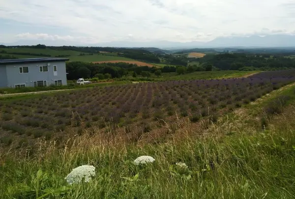 深山峠（かみふらの八景）