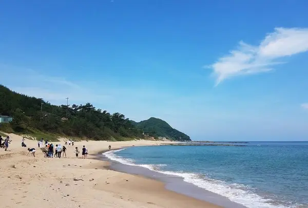 琴引浜