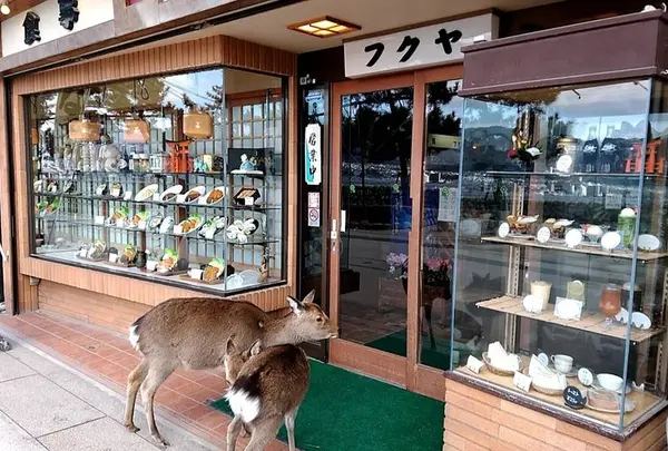 フクヤ食堂